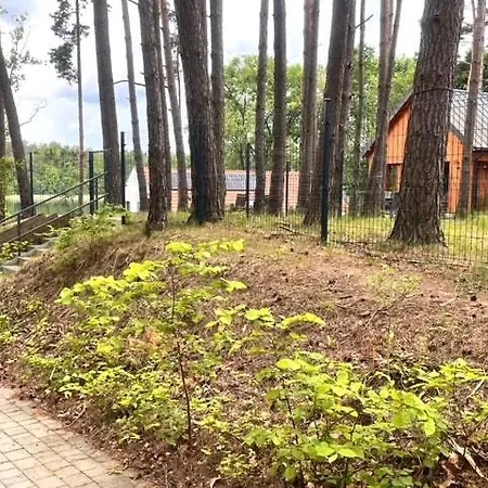 בית נופש Mazurski Dom Nad Jeziorem & Sauna - Plaza, Lodka, Kajak, Grill